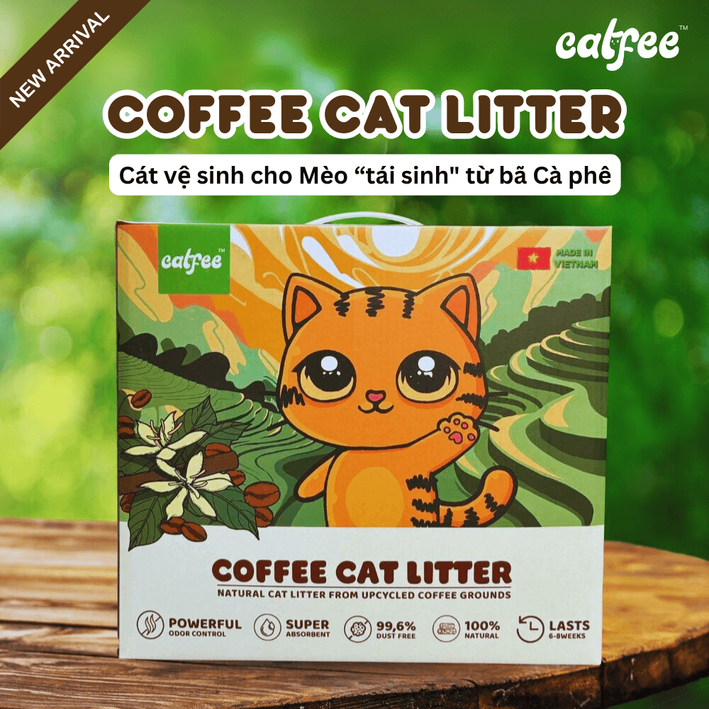 Cát mèo Hữu Cơ Catfee ® - Cát vệ sinh cho mèo từ CÀ PHÊ Việt Nam - Hộp 9L