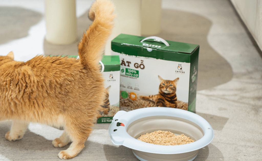 Dùng Cát Gỗ Catfee như thế nào cho đúng cách và tiết kiệm?
