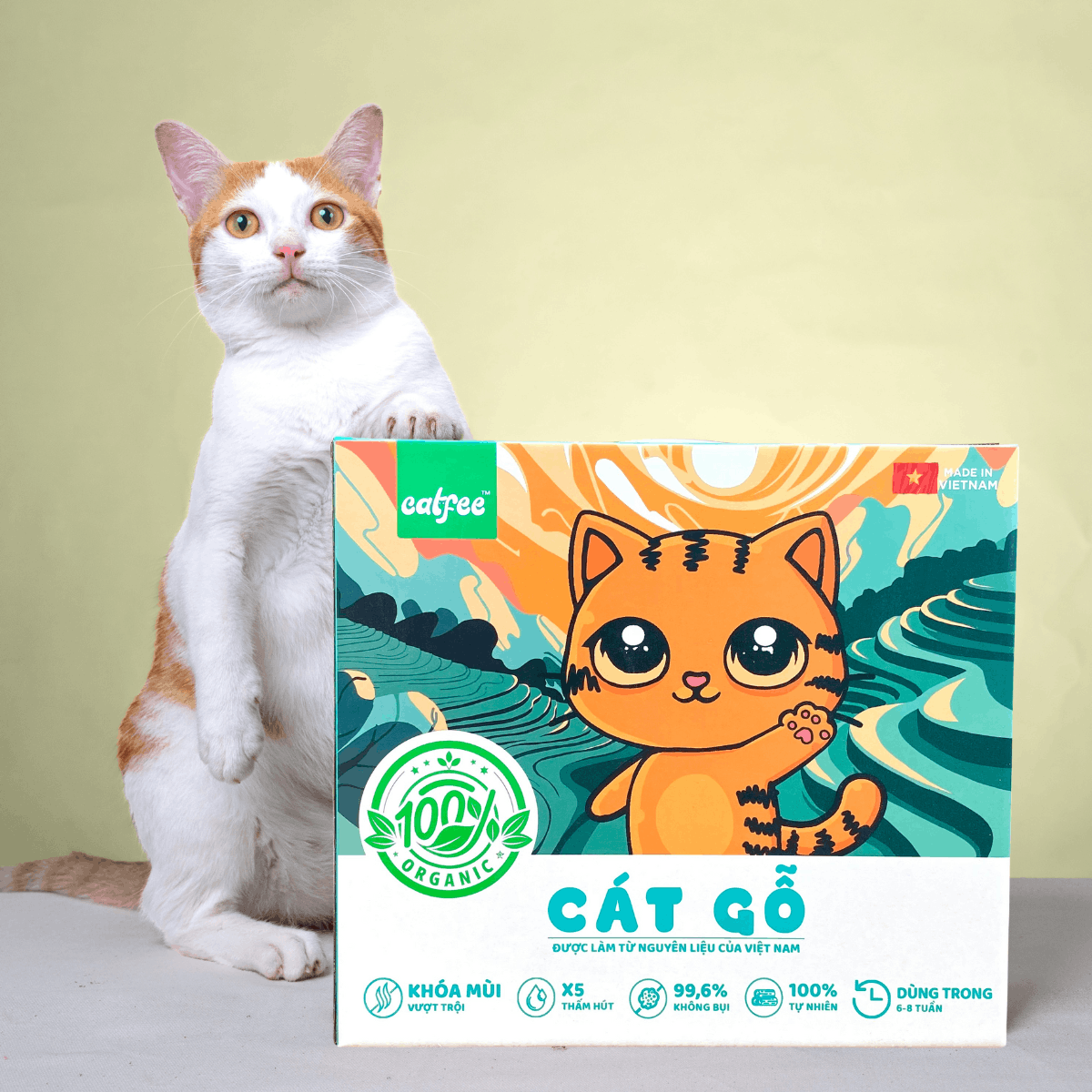 catfee