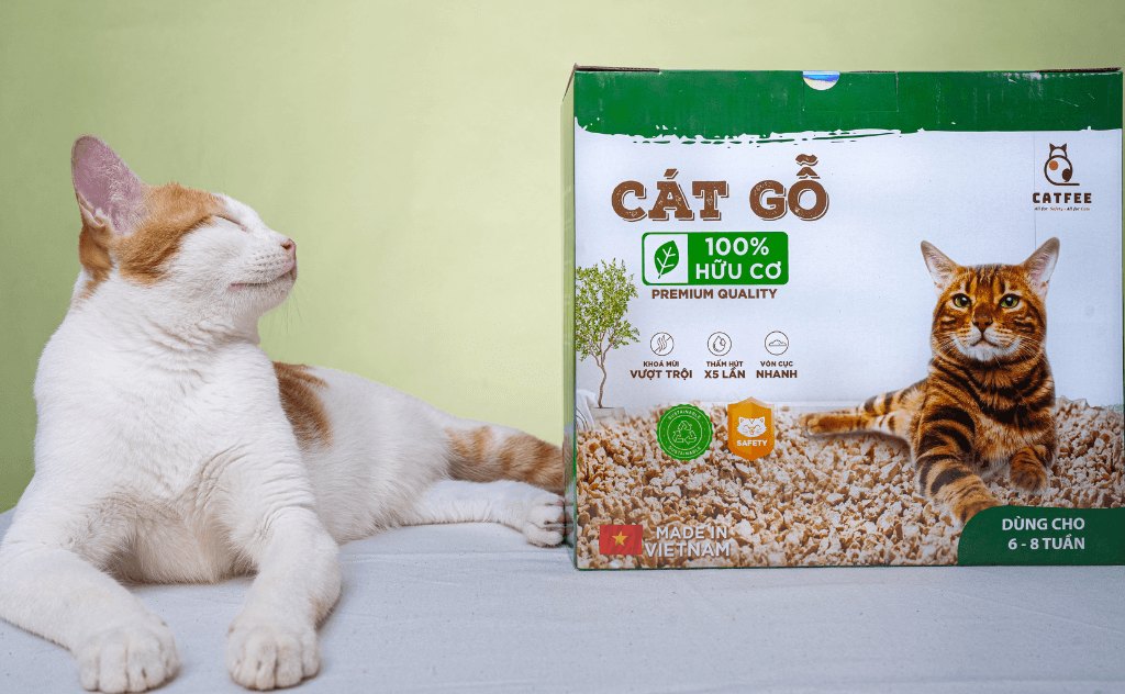 So sánh Cát gỗ Catfee, cát đậu nành và cát đất sét