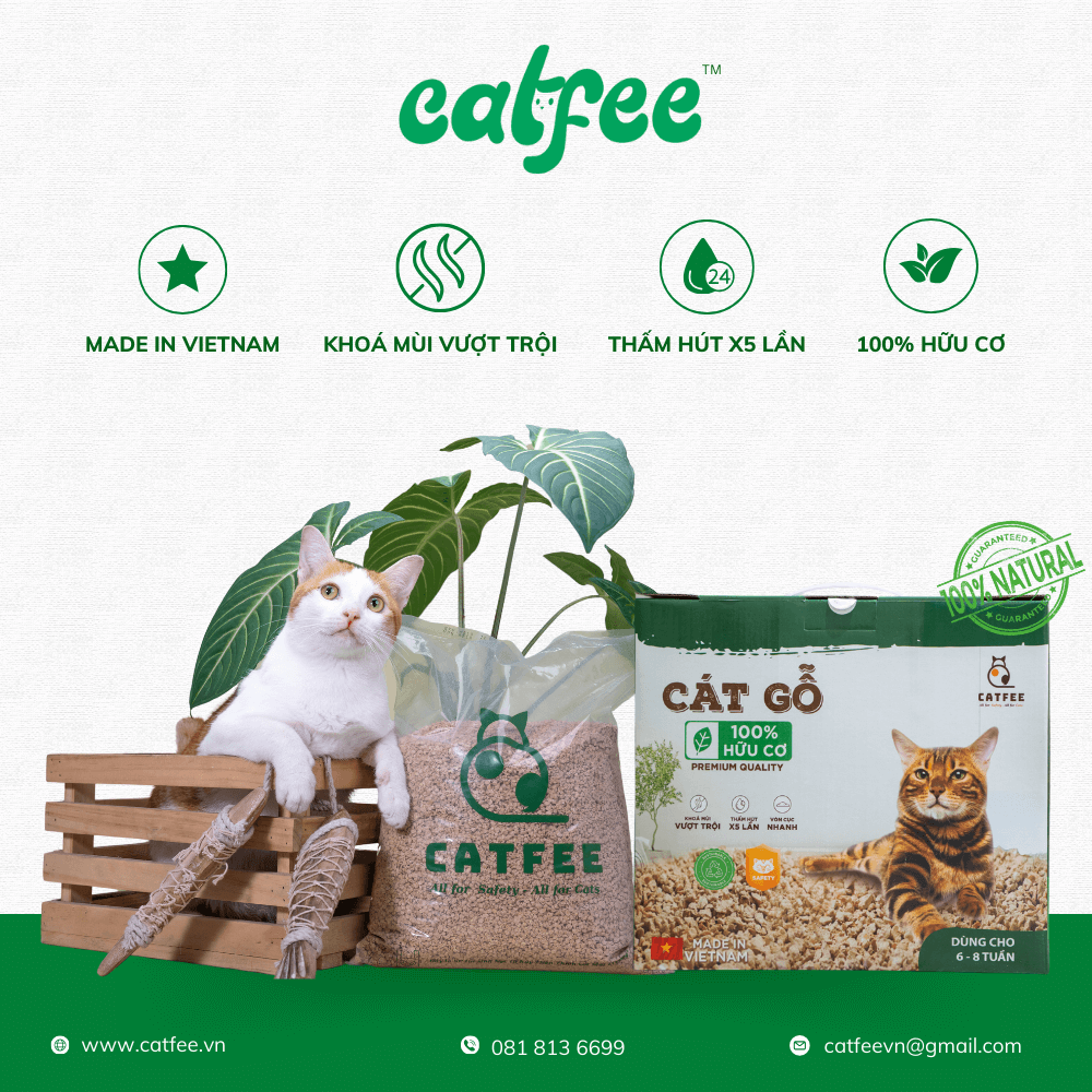 cát gỗ cho mèo Catfee