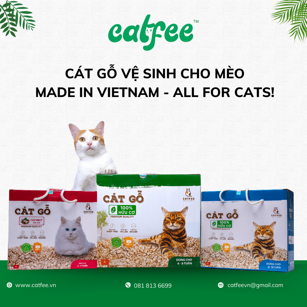cát gỗ hữu cơ cho mèo catfee