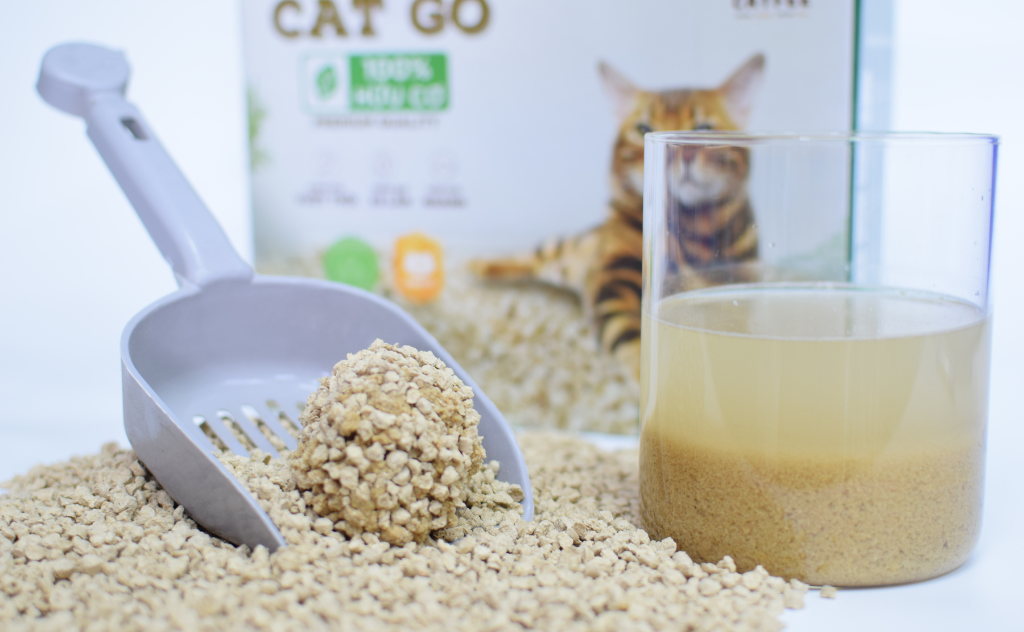 cát mèo catfee vón tốt