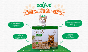 catfee