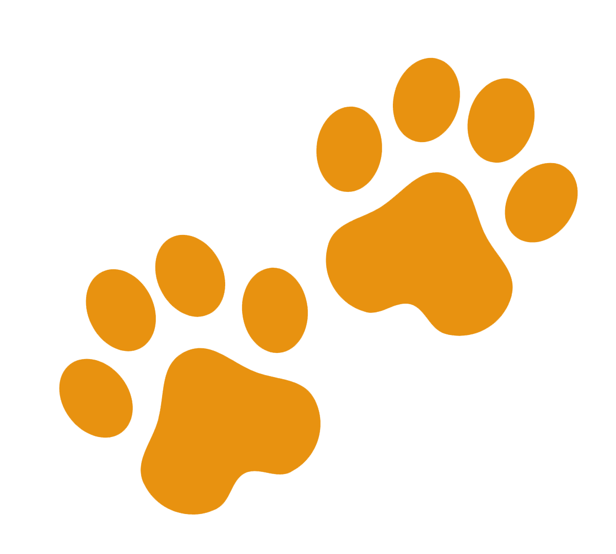 catfee